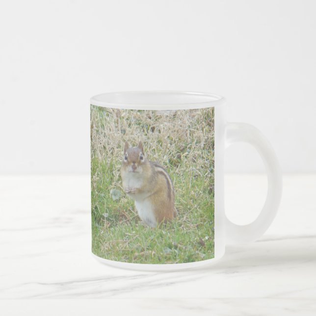 Eastern Chipmunk Mattglastasse (Rechts)