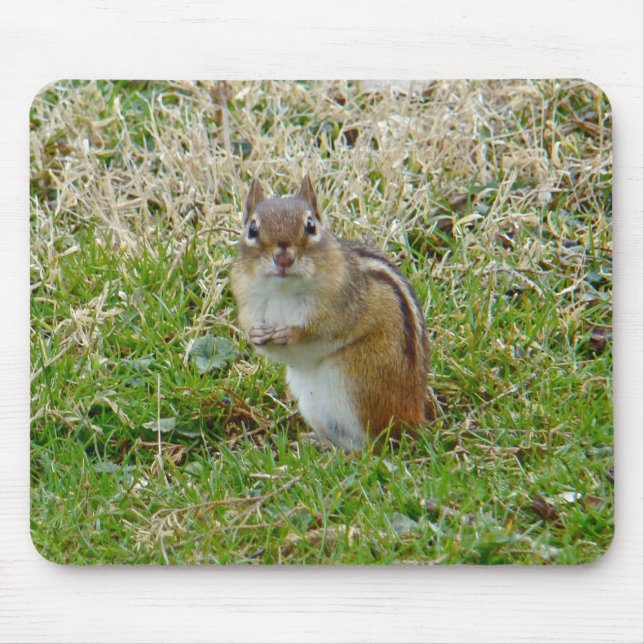 Eastern Chipmunk Mousepad (Vorne)