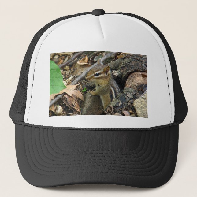 Eastern Chipmunk - Tamias striatus Truckerkappe (Vorderseite)