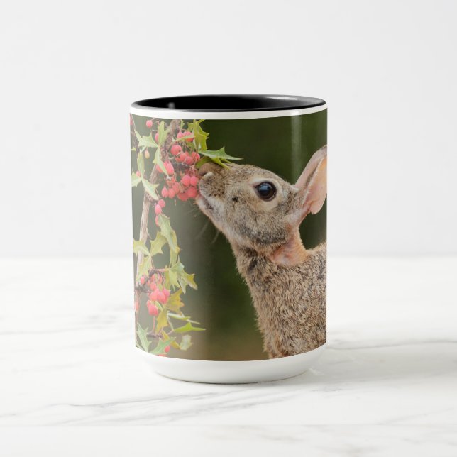 Eastern Cottontail | Südtexas Tasse (Zentrum)