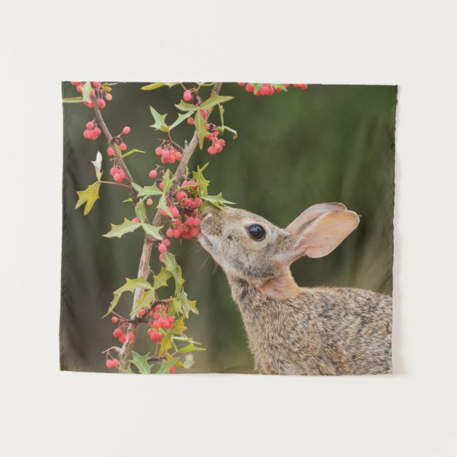 Eastern Cottontail | Südtexas Wandteppich (Vorderseite (Horizontal))