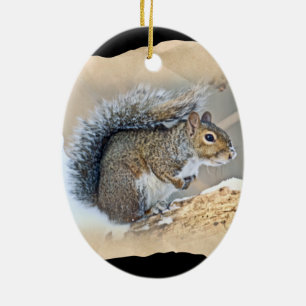 Eastern Gray Eichhörnchen - Sciurus carolinensis Keramik Ornament