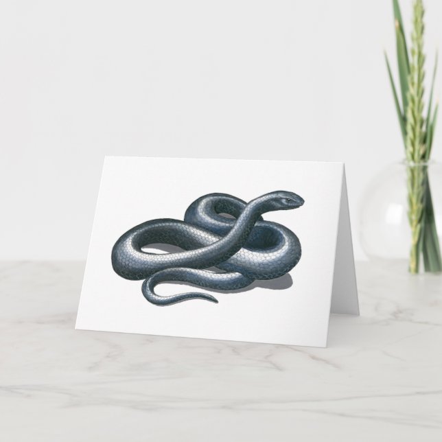 Eastern Indigo Snake Nature Art Card Karte (Vorderseite)