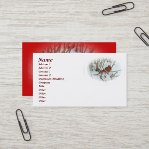 Eastern Kardinal Songbird Business Card Visitenkarte