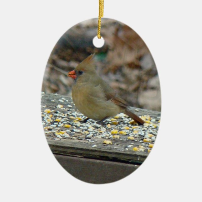 Eastern Kardinal Songbird Weihnachtsschmuck (Vorne)