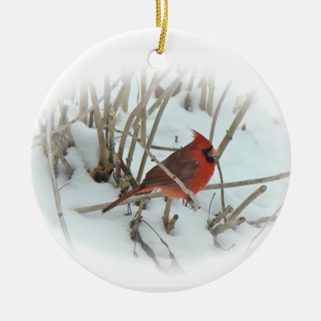Eastern Kardinal Songbird Weihnachtsschmuck (Vorne)
