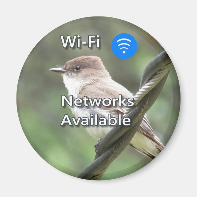 Eastern Phoebe Wi-Fi-Magnet Magnet (Vorne)