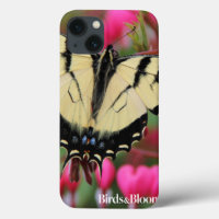 Eastern Swallowtail