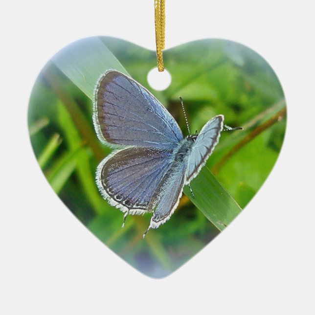 Eastern Tails Blue Butterfly Weihnachtsschmuck (Vorne)