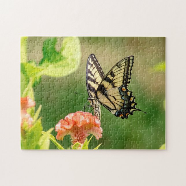 Eastern Tiger Frack Butterfly (Horizontal)