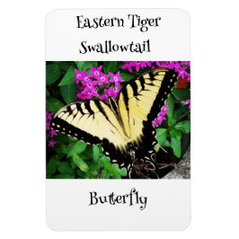 Eastern Tiger Frack Butterfly #1 Magnet