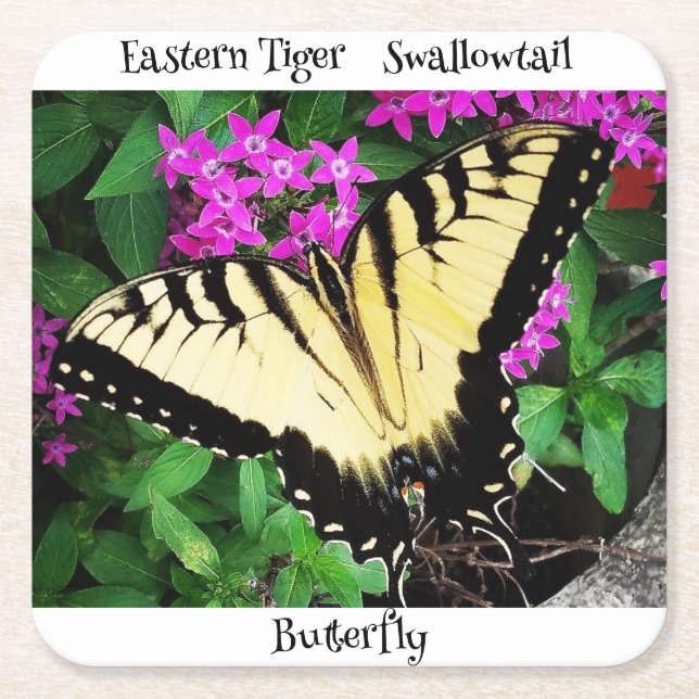 Eastern Tiger Frack Butterfly #1 Rechteckiger Pappuntersetzer (Vorderseite)