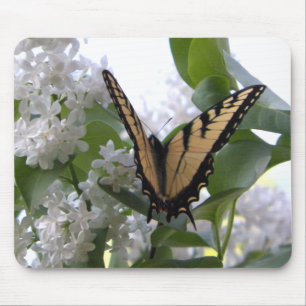 Eastern Tiger Frack Butterfly Foto Mousepad