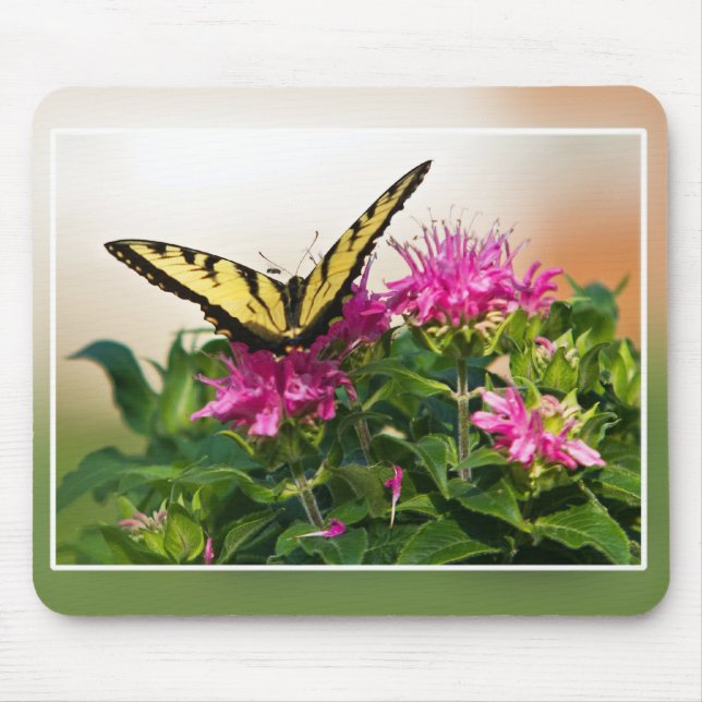Eastern Tiger Frack Butterfly Mousepad (Vorne)
