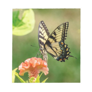 Eastern Tiger Frack Butterfly Notizblock
