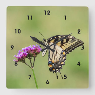 Eastern Tiger Frack Butterfly Quadratische Wanduhr