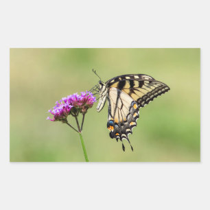 Eastern Tiger Frack Butterfly Rechteckiger Aufkleber