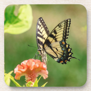 Eastern Tiger Frack Butterfly Untersetzer
