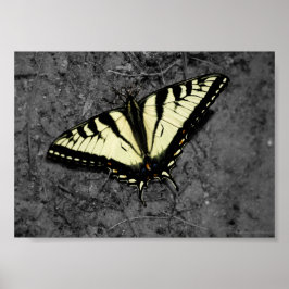 Eastern Tiger Print Poster