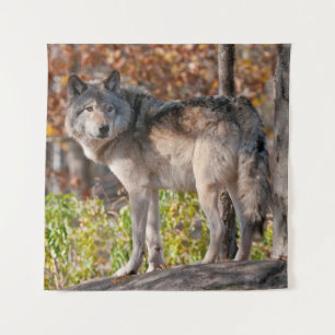 Eastern Timber Wolf Wandteppich