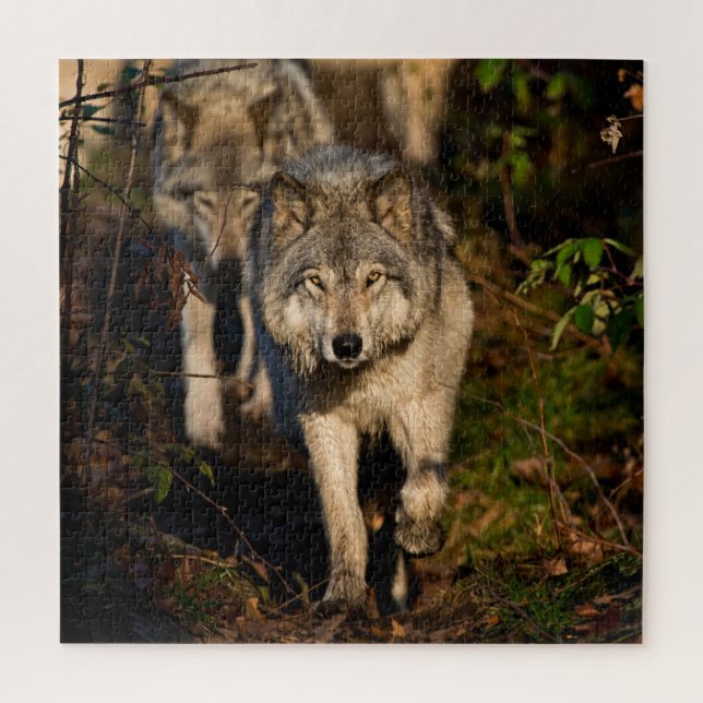 Eastern Timber Wolves Jigsaw Puzzle (Vertikal)