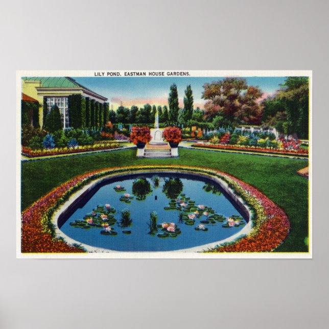 Eastman House Gardens Lily Pond Poster (Vorne)