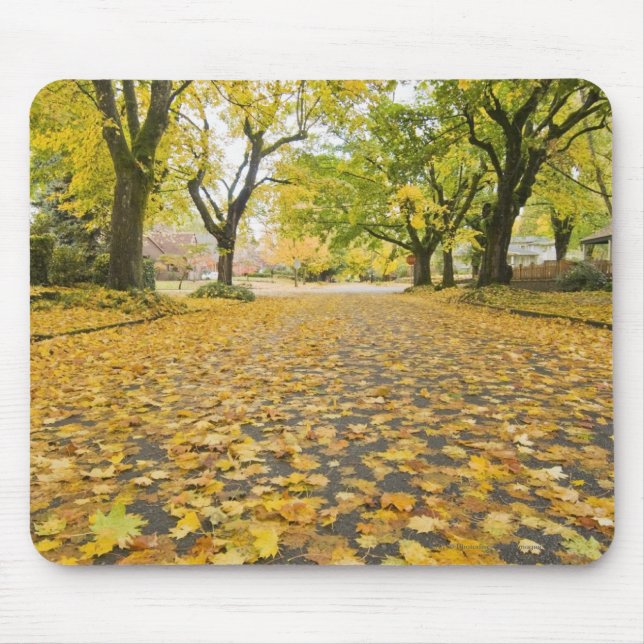 Eastmoreland in der Herbststraßen- und Mousepad (Vorne)