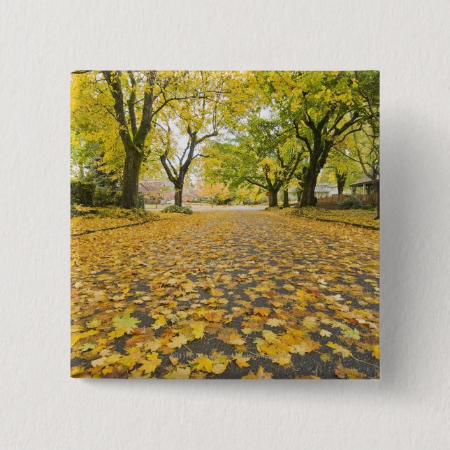 Eastmoreland Nachbarschaft im Herbst Button (Vorderseite)