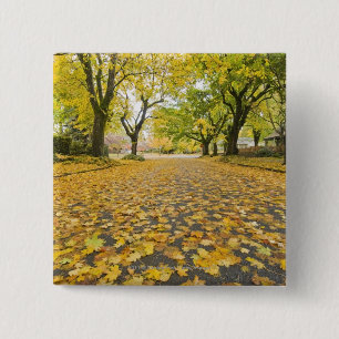 Eastmoreland Nachbarschaft im Herbst Button