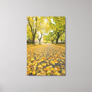 Eastmoreland Nachbarschaft im Herbst Leinwanddruck