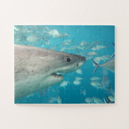 Easy Fun Blue Kids Shark