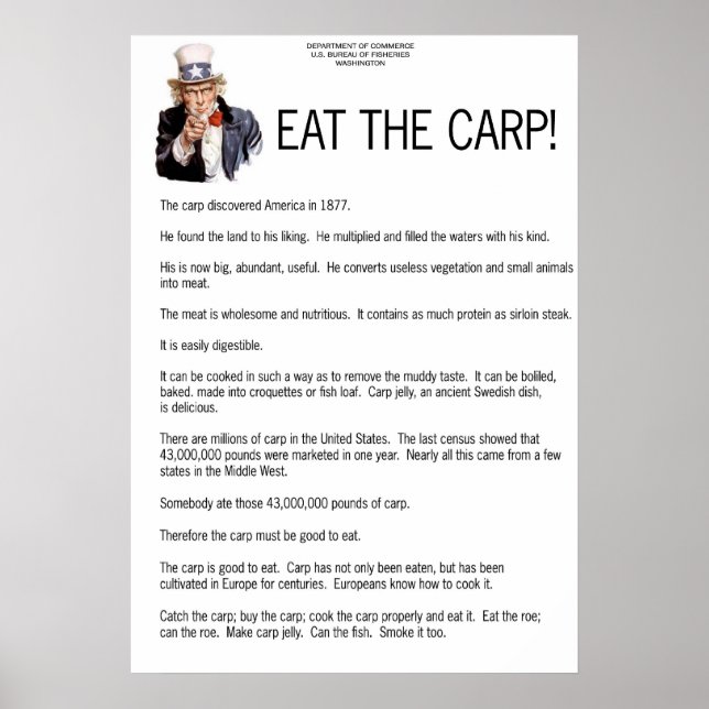 Eat the Carp! Poster (Vorne)