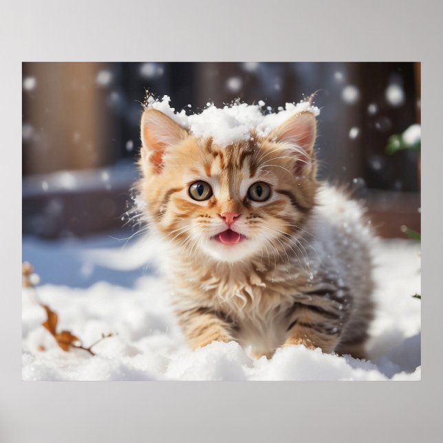 *~* Eating Snow Kitty 5:4 Kitten Cat AP68 Poster (Vorne)