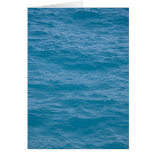 Eau bleue des Caraïbes