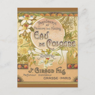 Eau de Cologne Ambree Postcard Postkarte