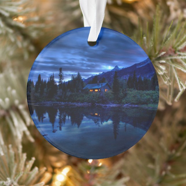 Eau | Jenny Lake Grand Teton National Park (Arbre)