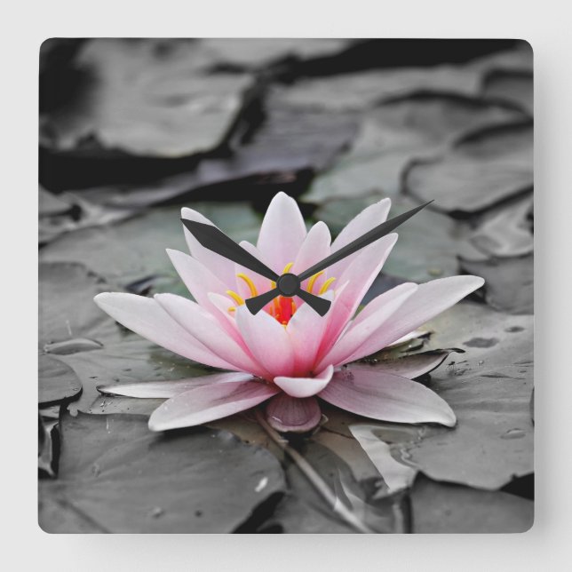 Eau Lily Plante aquatique Acrylique Horloge murale (Recto)