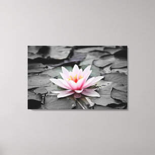Eau Lily Plante aquatique toile étirée Imprimer