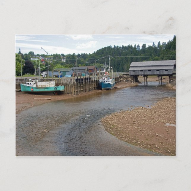 Ebbe in der Bay of Fundy in St. Martins, Neu Postkarte (Vorderseite)