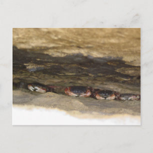 Ebbe Postkarte