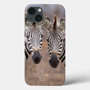 Ebene Zebras, Kruger-Nationalpark title_seo2