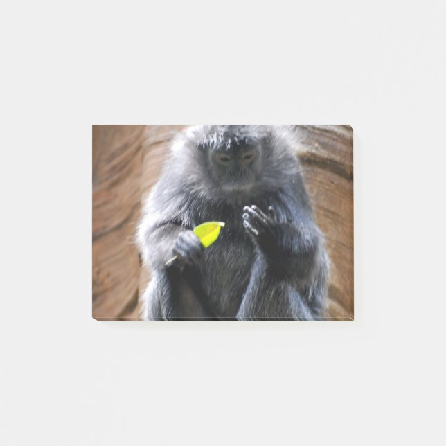 EbenholzLangur Post-it Klebezettel (Vorderseite)