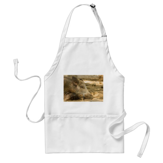 Eber auf normaler Schürze (Vorne)