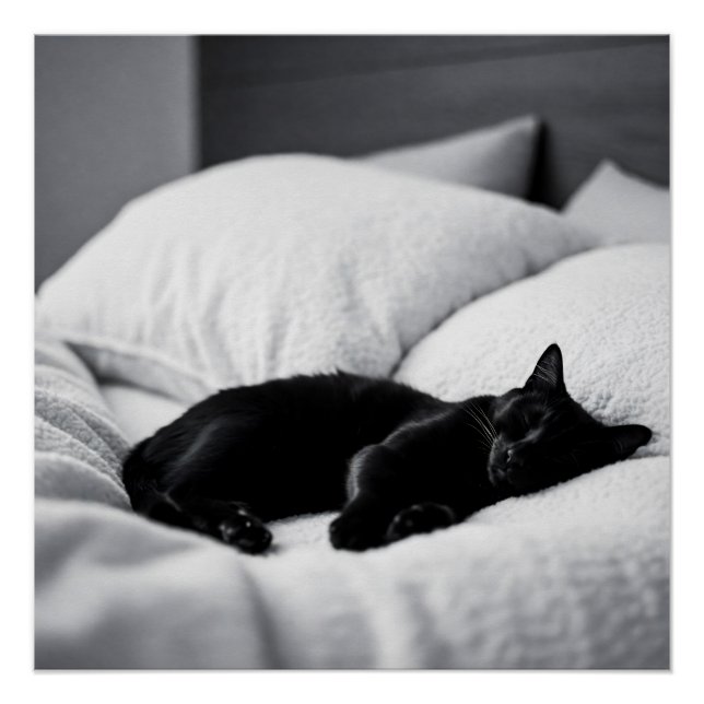 Ebony Dreams: Feliner Komfort und Charme Poster (Vorderseite)