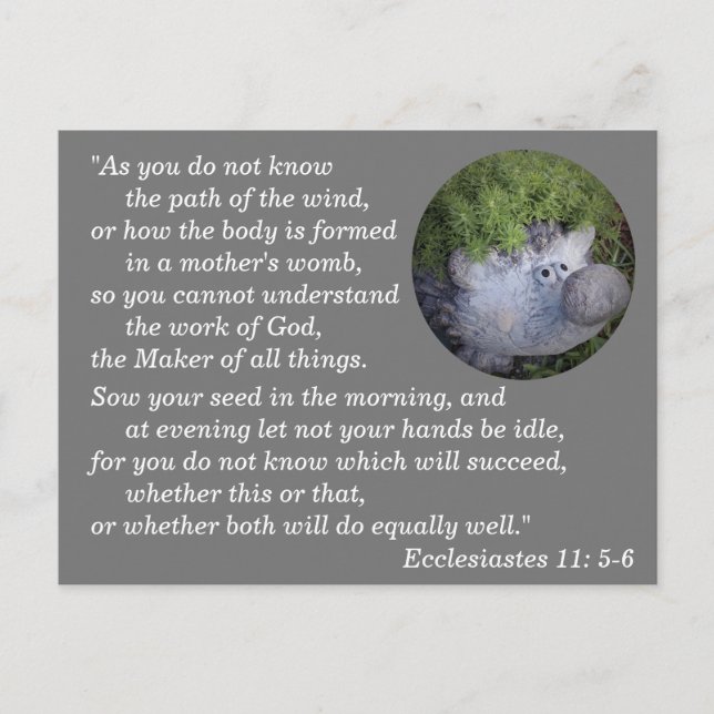 Ecclesiastes 11:5-6 Bibelverse Gedächtnis Postkarte (Vorderseite)