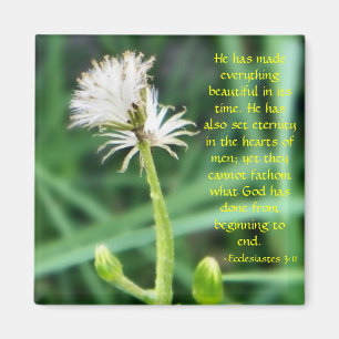 Ecclesiastes 3:11 aimant