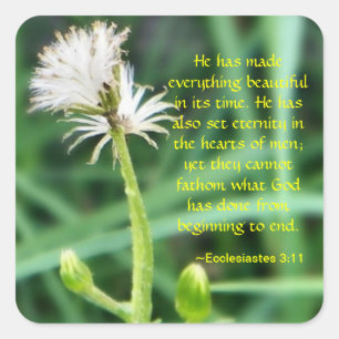 Ecclesiastes 3:11 autocollant