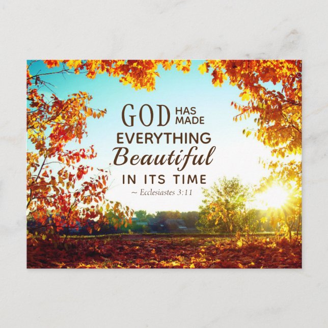 Ecclesiastes 3:11 Er hat alles schön gemacht Postkarte (Vorderseite)