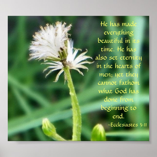 Ecclesiastes 3:11 poster (Vorne)
