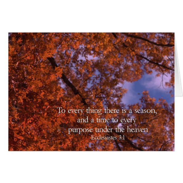 Ecclesiastes 3:1 À chaque chose il ya une saison (Devant horizontal)